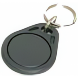 Proximity badge 125KHz met sleutelhanger